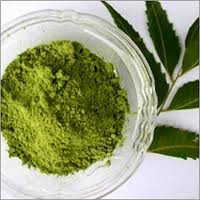 Manufacturers Exporters and Wholesale Suppliers of Neem Leaf Powder Dhar Madhya Pradesh